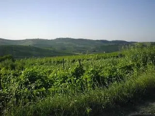 La Chicca 3* Cassine